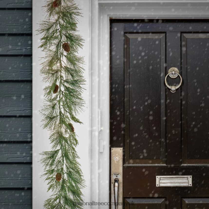 Greenery | National Tree Company 6 ft HGTV Home Collection Pre-Lit Black Tie Cedar Garland F2L4F345
